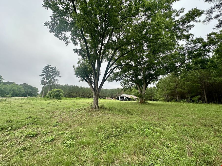 Searcy Branch Timber and Rec
