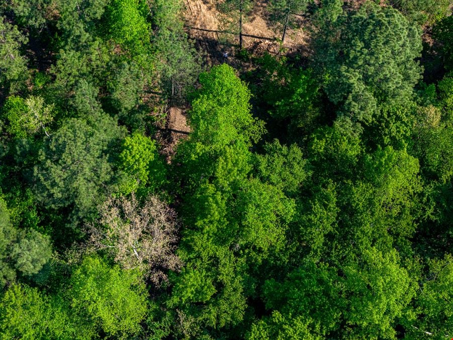 Goochland Land
