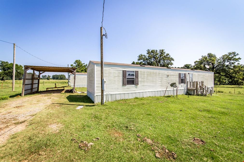 Hope Arkansas Chicken Farm