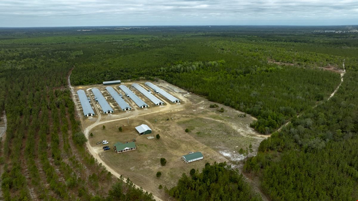 Timber Ridge Farm - Poultry and Homeplace Package