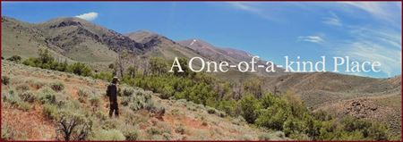 Preview of VacantLand space for Sale at Pleasant Valley, Pershing County, Nv.