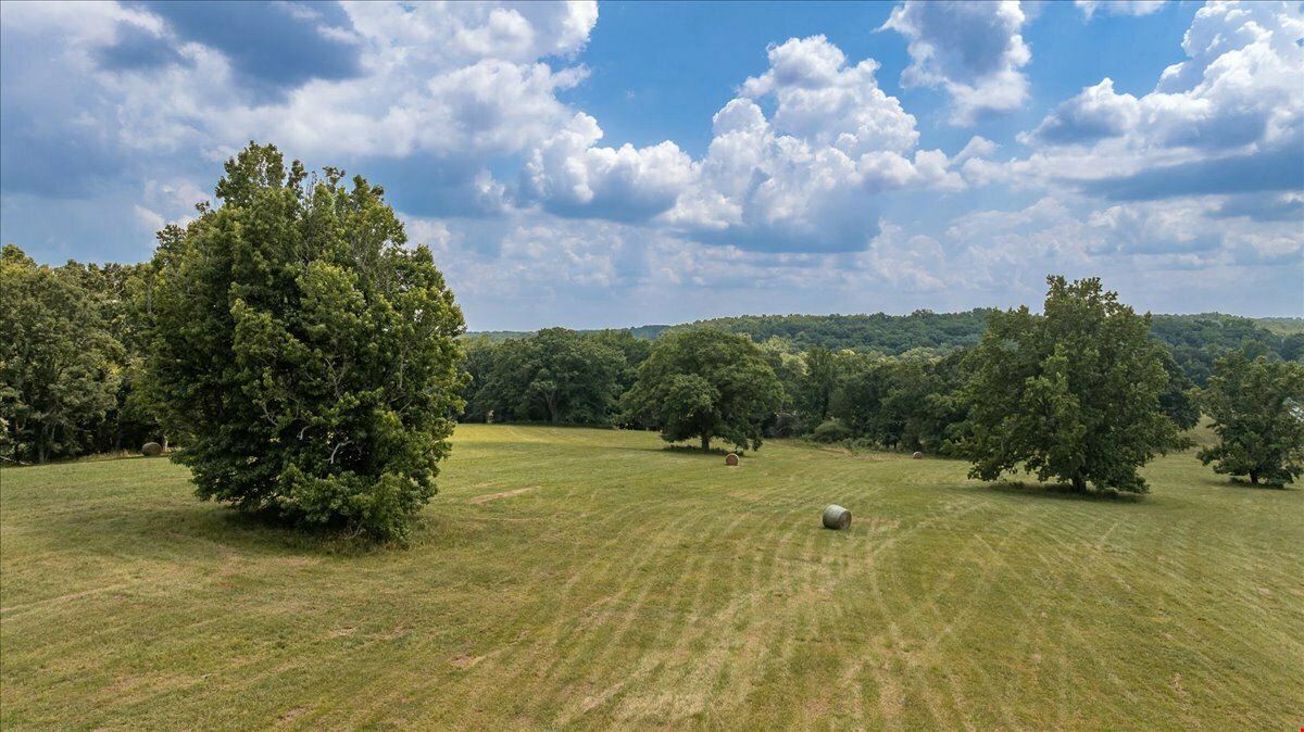 CHANDLER BRIDGE RD 719 ACRES