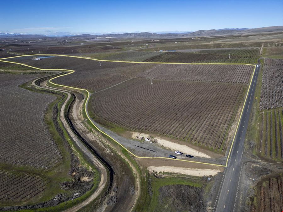 Occidental Orchards