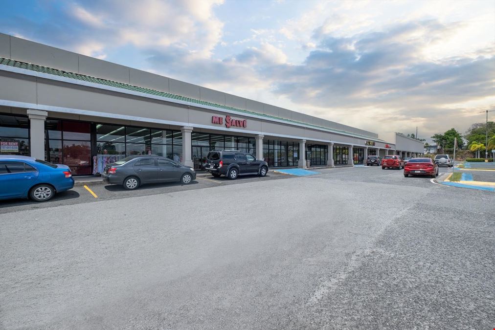 PLAZA YABUCOA SHOPPING CENTER