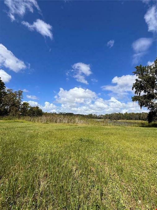 4.7 AC, Multi-Use Development Site, Directly on Van Dyke Rd, Lutz