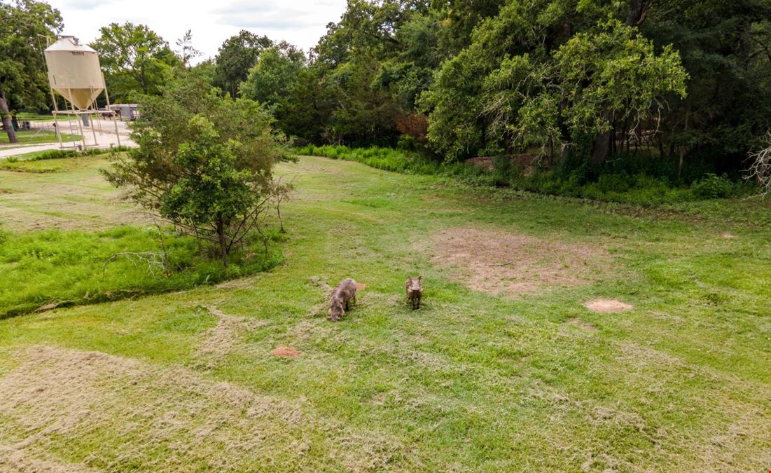 10285 Ferrill Creek Road