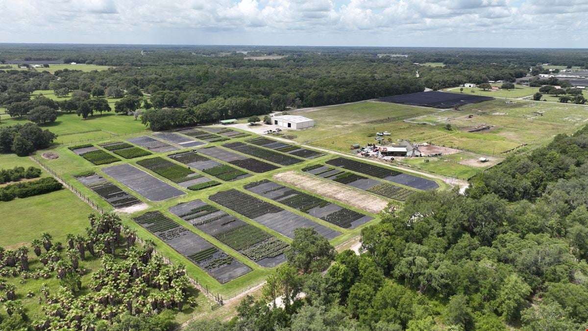 Volusia County Landscape Nursery