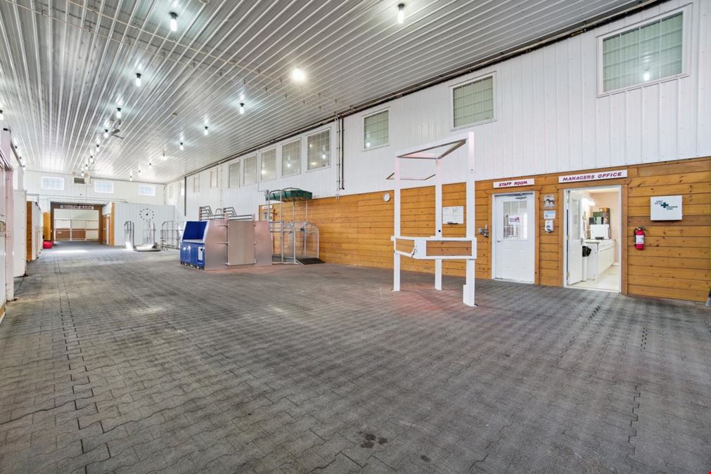 World-Class Equestrian in Central Alberta (Canada)