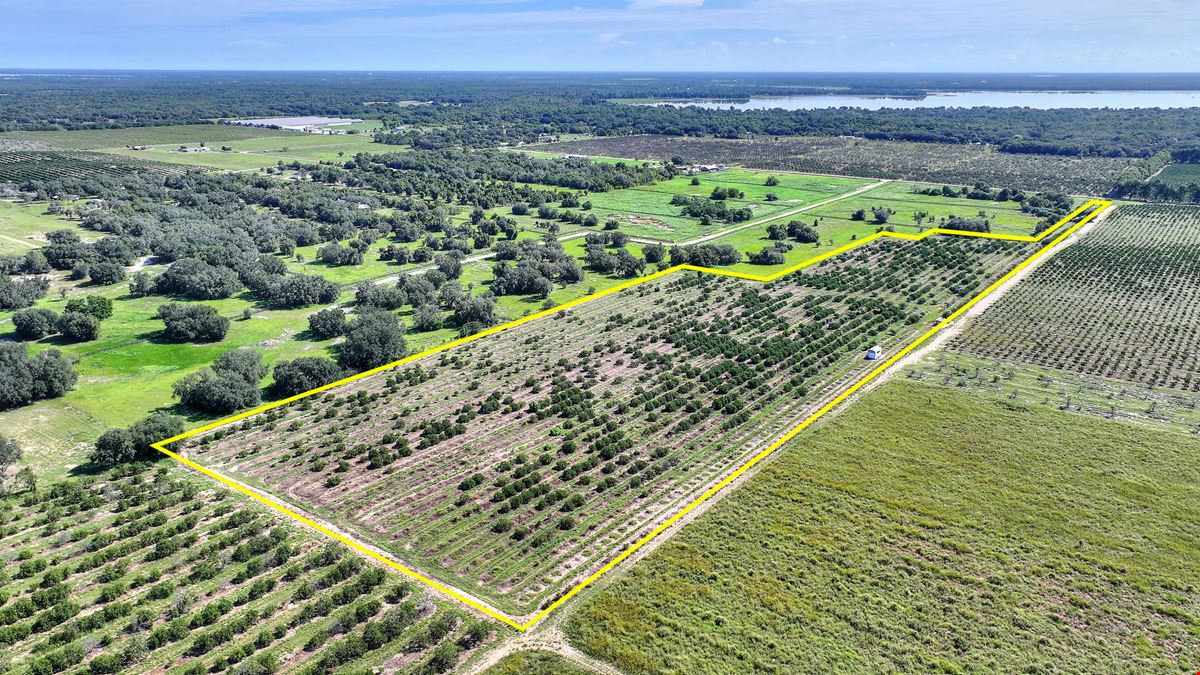 St. Helena Road 20 Acre Grove