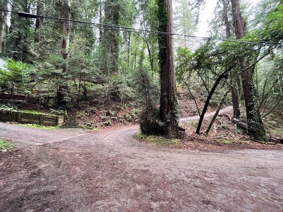 55 Conifer Way
