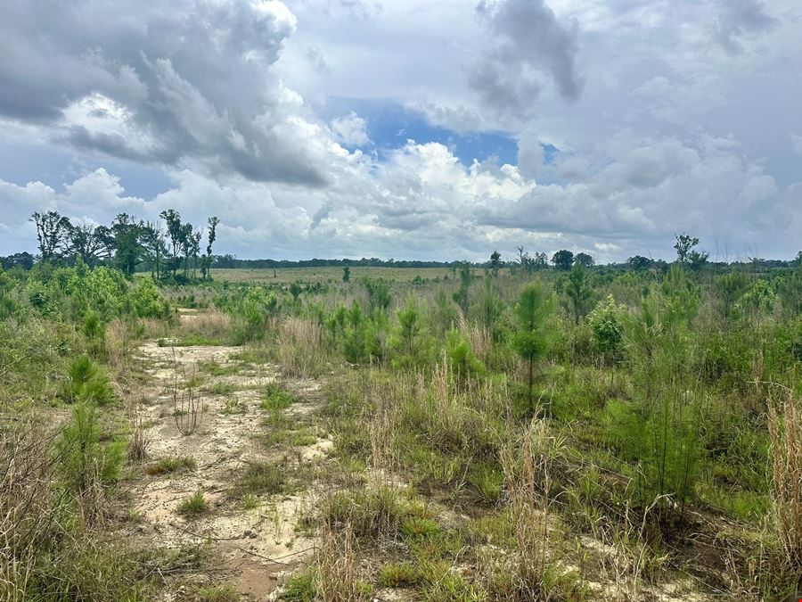 The Turner Tract