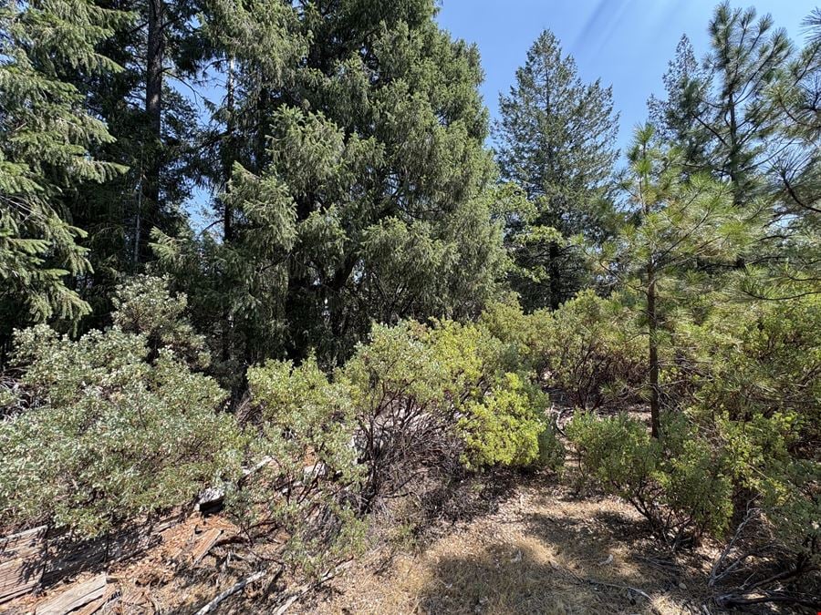 1250 Whispering Pines Ln