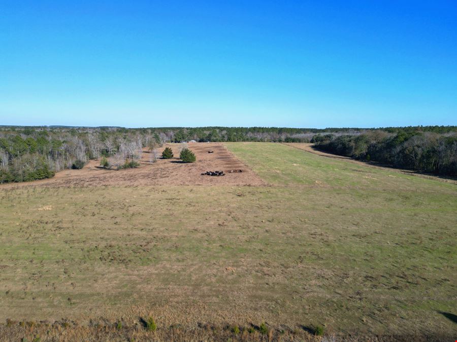 Secluded 240-Acre Cattle Farm in NE Holmes County, FL with Creek, Hunting Opportunities & Nearby Amenities