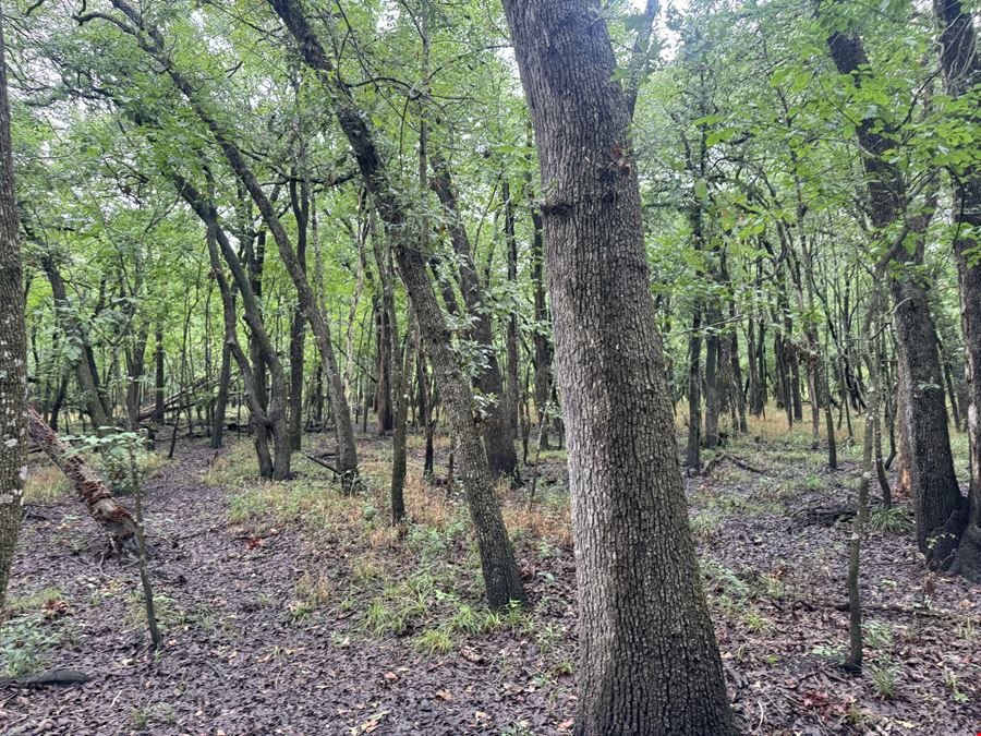 Highway 276 - 37.15 AC Hunting/Recreation Royse City
