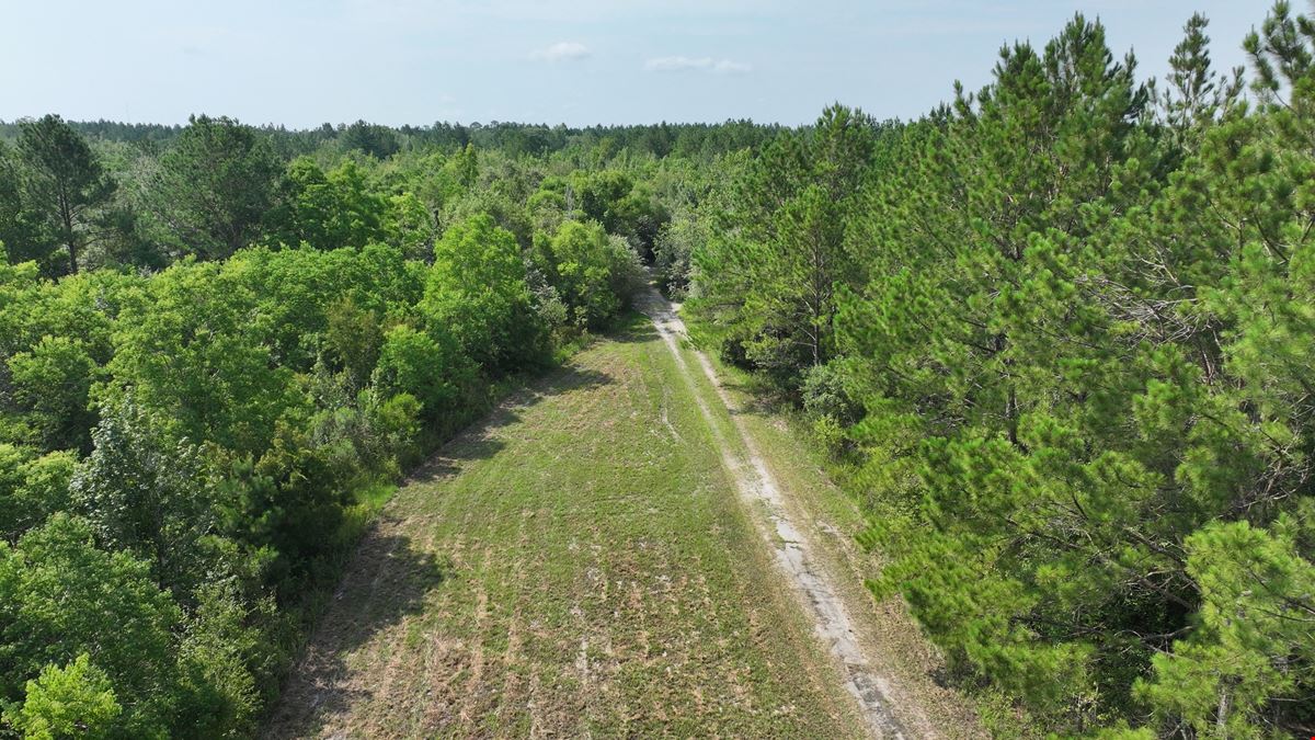 Satilla River Bottom Timberlands