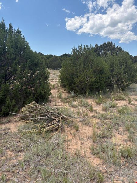Preview of VacantLand space for Sale at 8 Arroyo de Tajique Rd