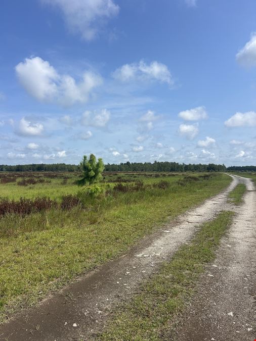 Osceola County Hunting & Recreational Tract