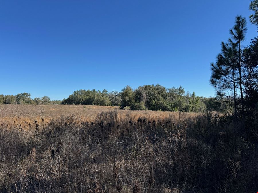 52.6 Acres in Archer