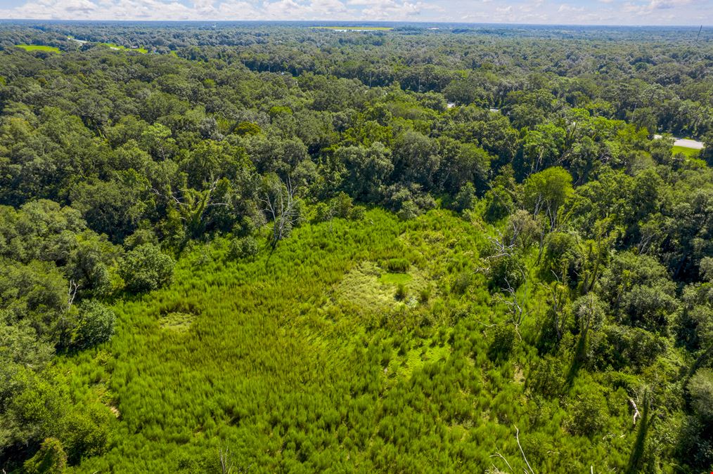 48.54 Acres on I-75