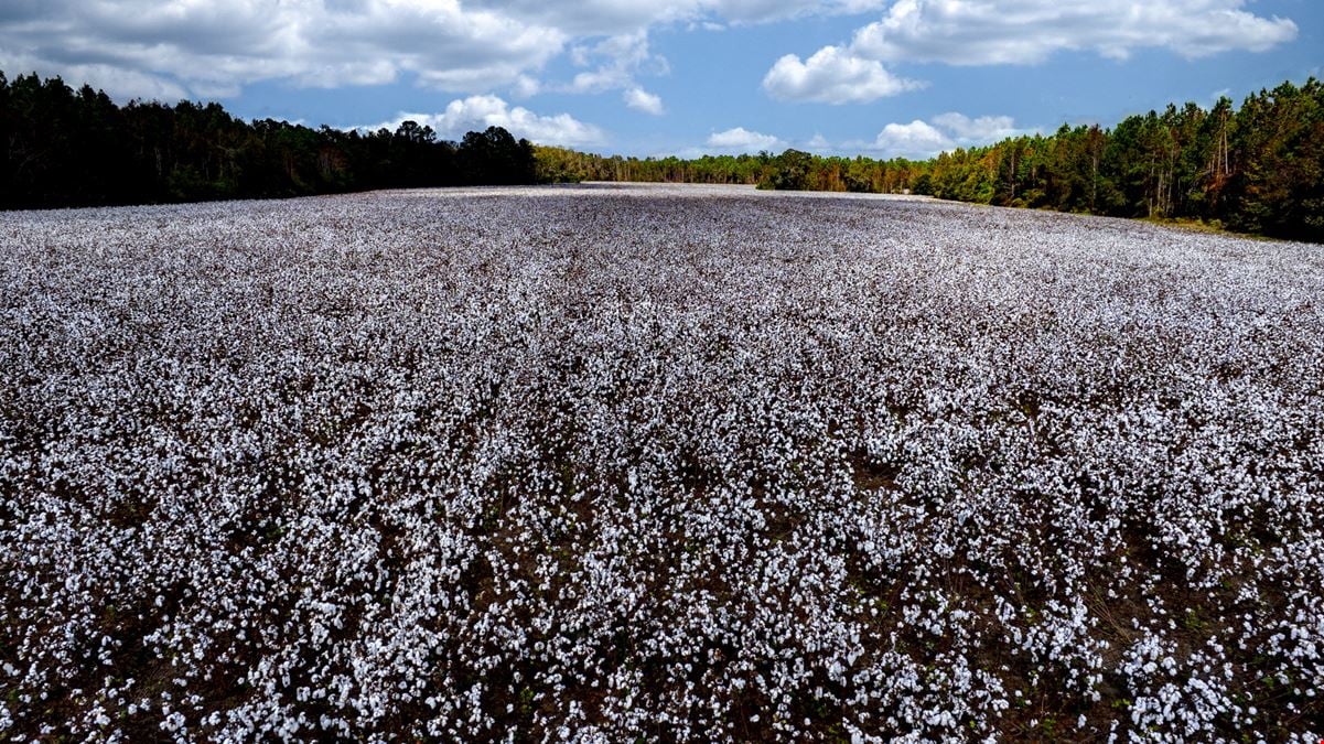 Old Magnolia Farm