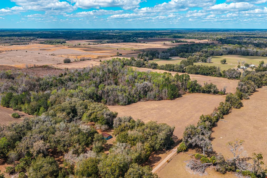 Putnam County Farmland