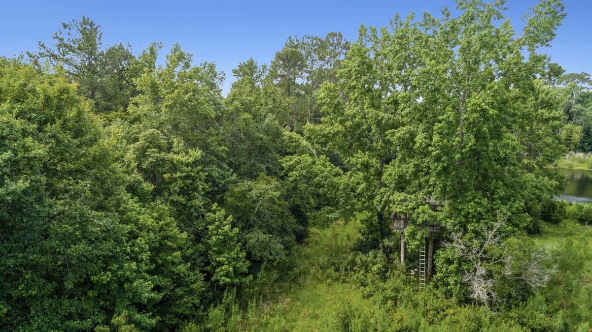 Rural Residential 20 Acres Green Cove Springs
