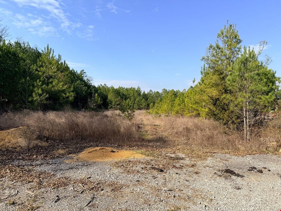 297 Alabaster Boulevard