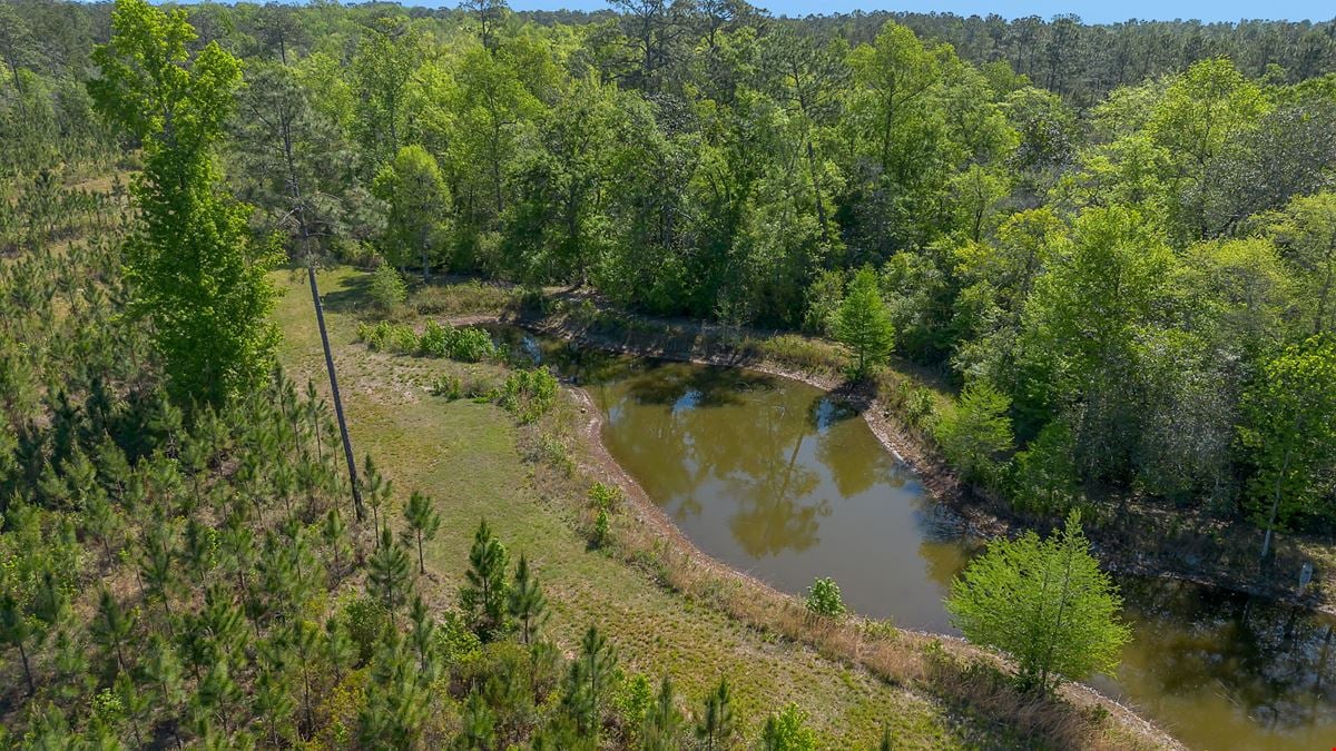 41+/- AC Residence, Farm, Timber + 1200 SF & 1800 SF storage buildings