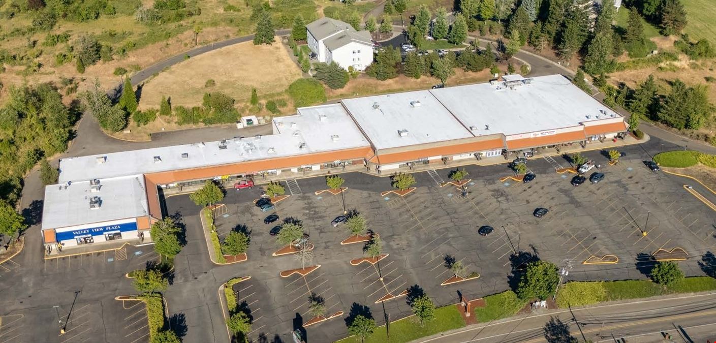 Valley View Plaza