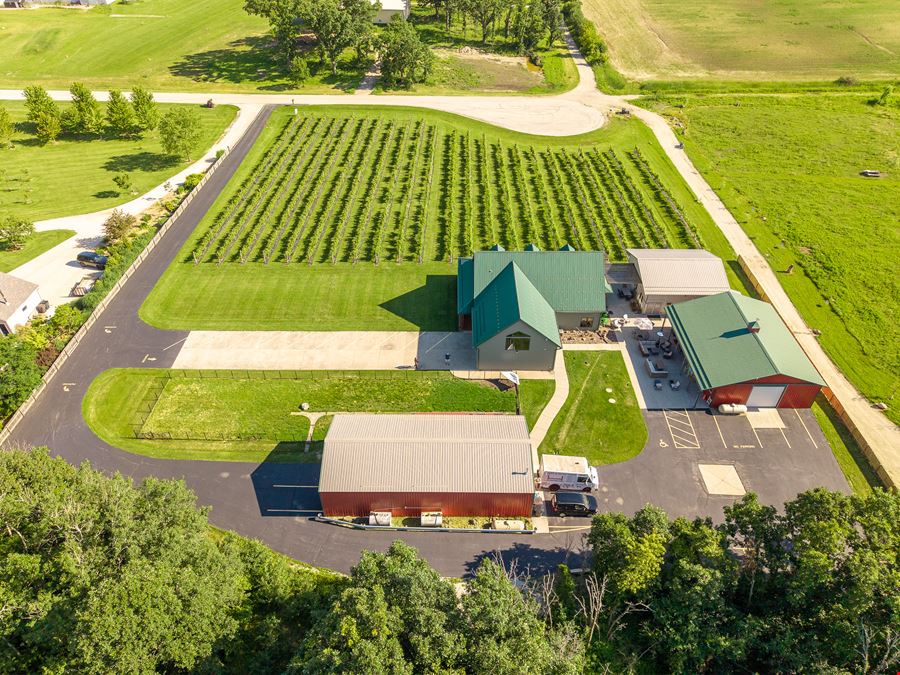 Spirits of Norway Vineyard