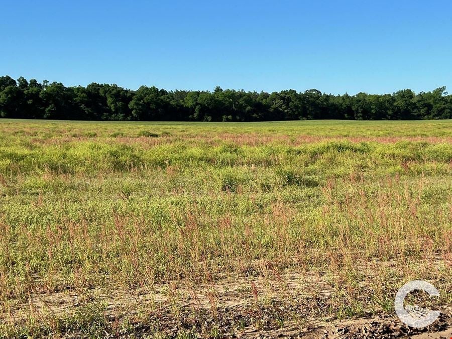 21.97 Acres of Versatile Land Near Florida & Georgia - Ideal for Homes, Recreation, and Investment