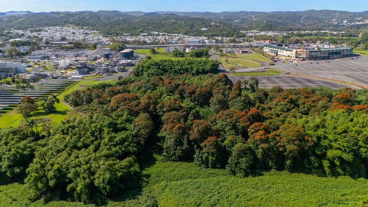 Carolina Prime Commercial Land - North of PR-3 - For Sale