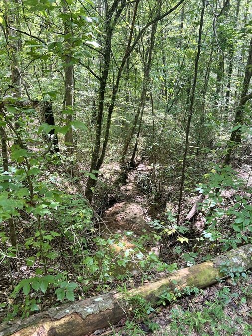 Partridge Creek 245