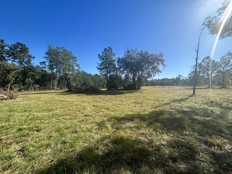 462 N Highway 17