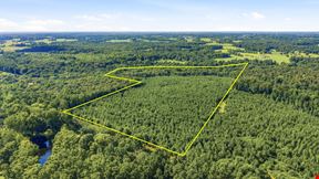 Town Creek Timber 40 Acres