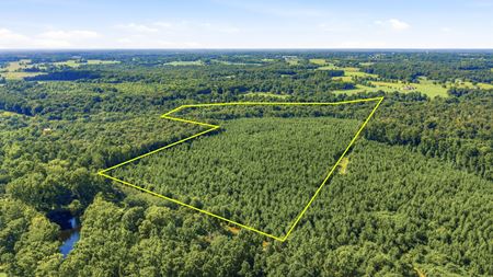 Preview of VacantLand space for Sale at 906a County Road 318