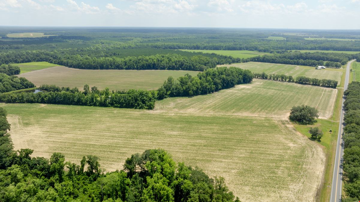Sunbury Farm