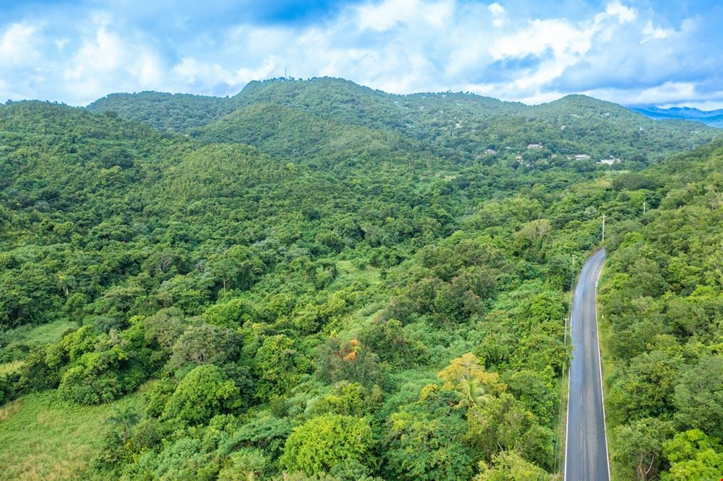 Vacant Land - 78 Cuerdas with Ocean Views @ Ceiba - For Sale