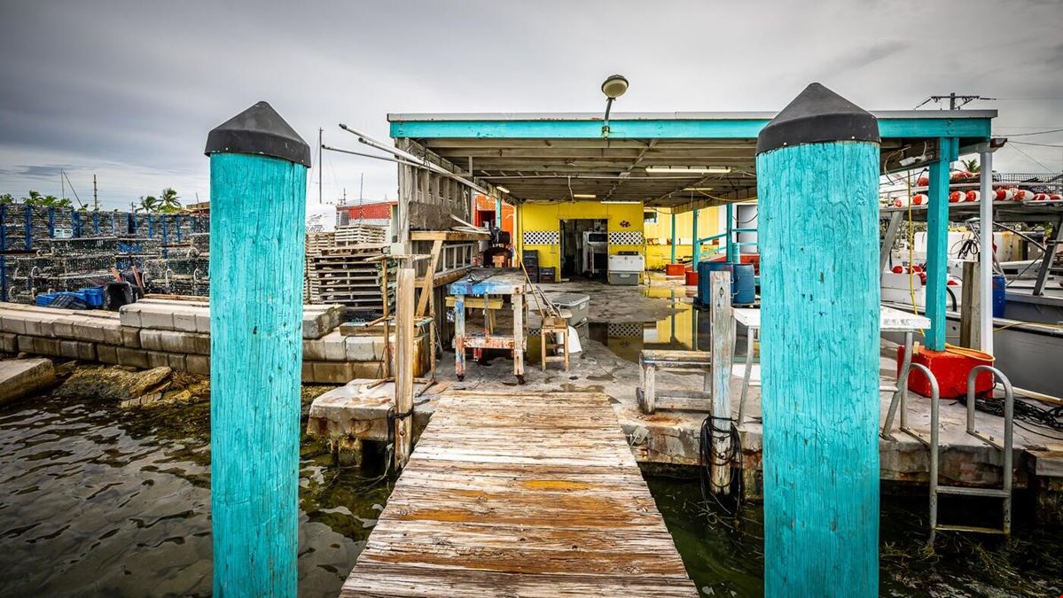 15 Seaview Ave