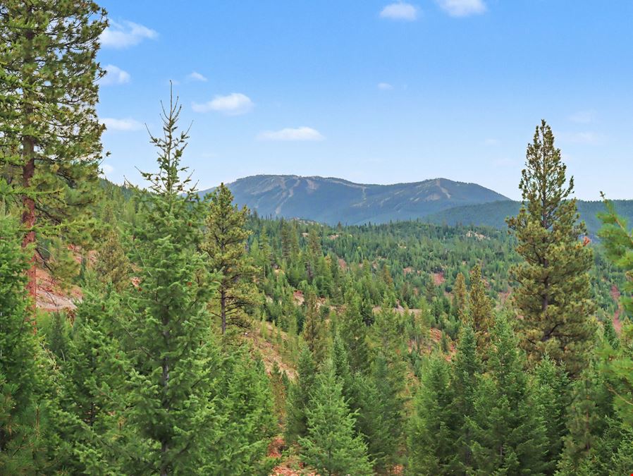 40 Wooded Acres near Kalispell: Classic Montana Forty