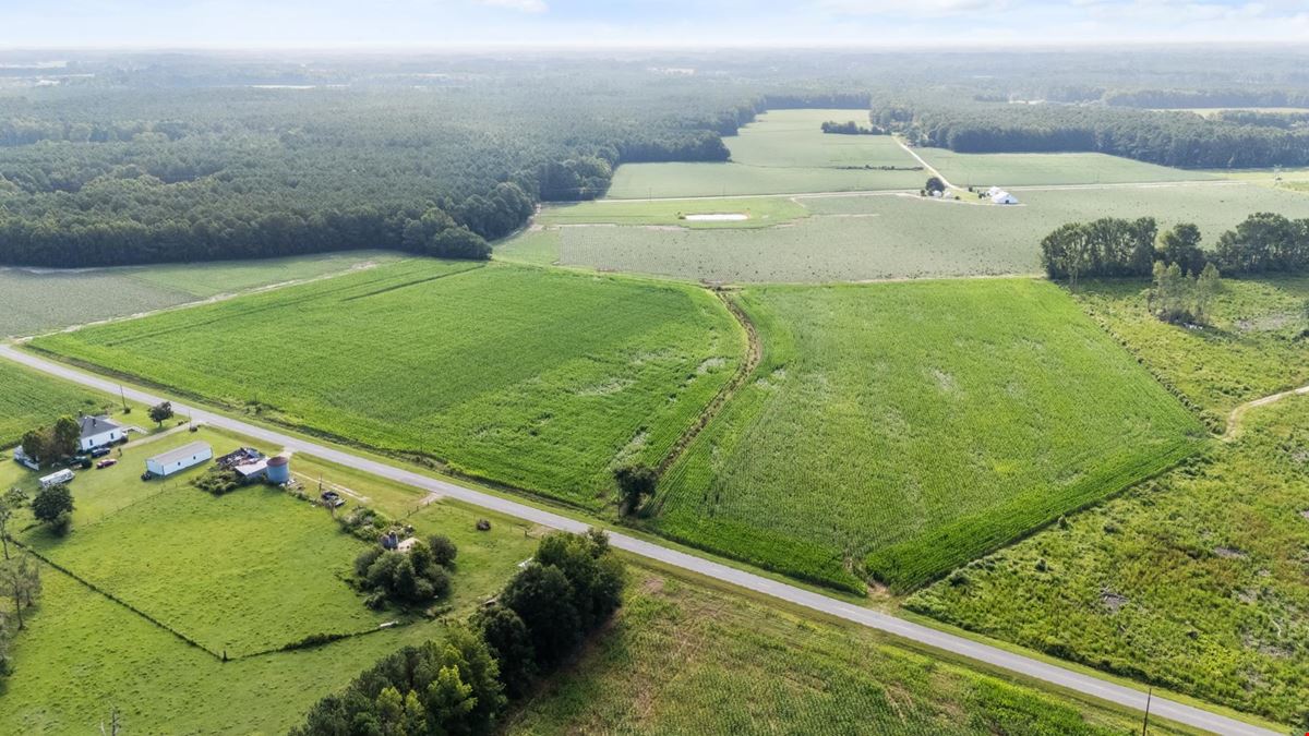 Smithfield, NC- 144 acre tract