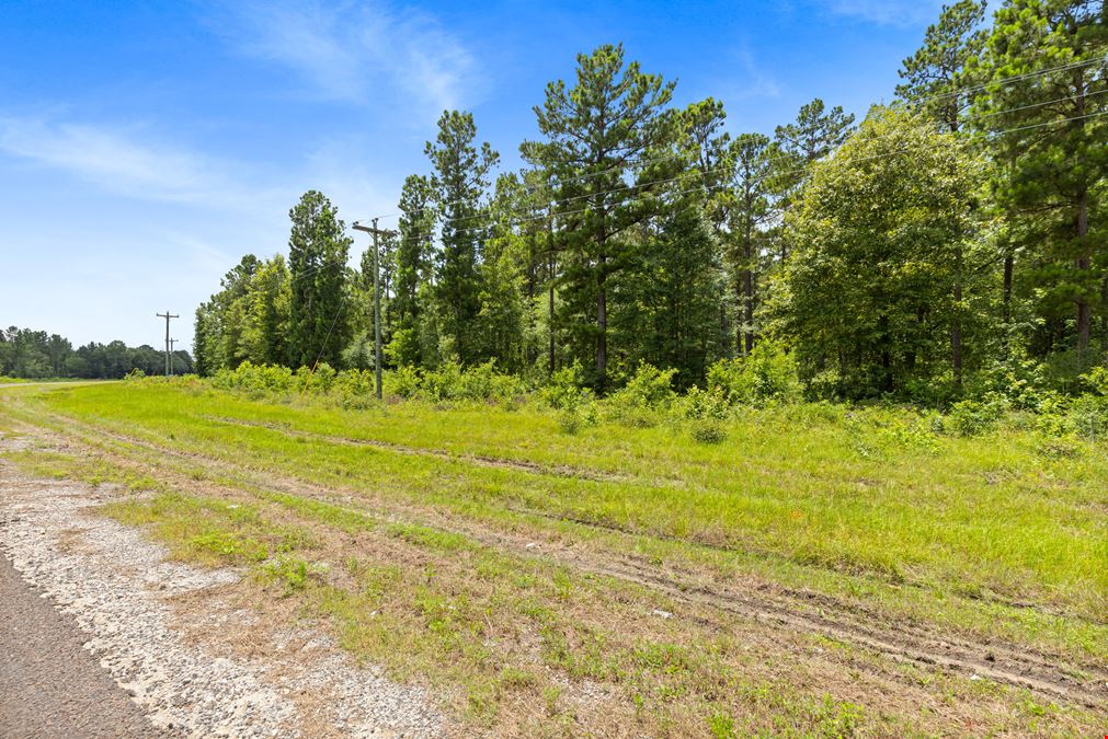 Strategic Land Investment in Trinity