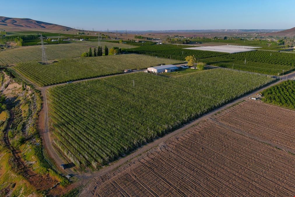 Benton Acord Orchard