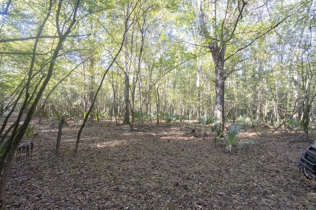 Dodge County River Property