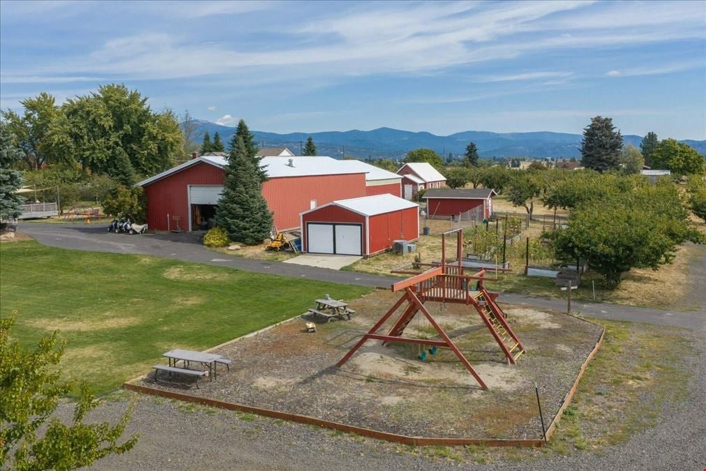 High Country Orchard