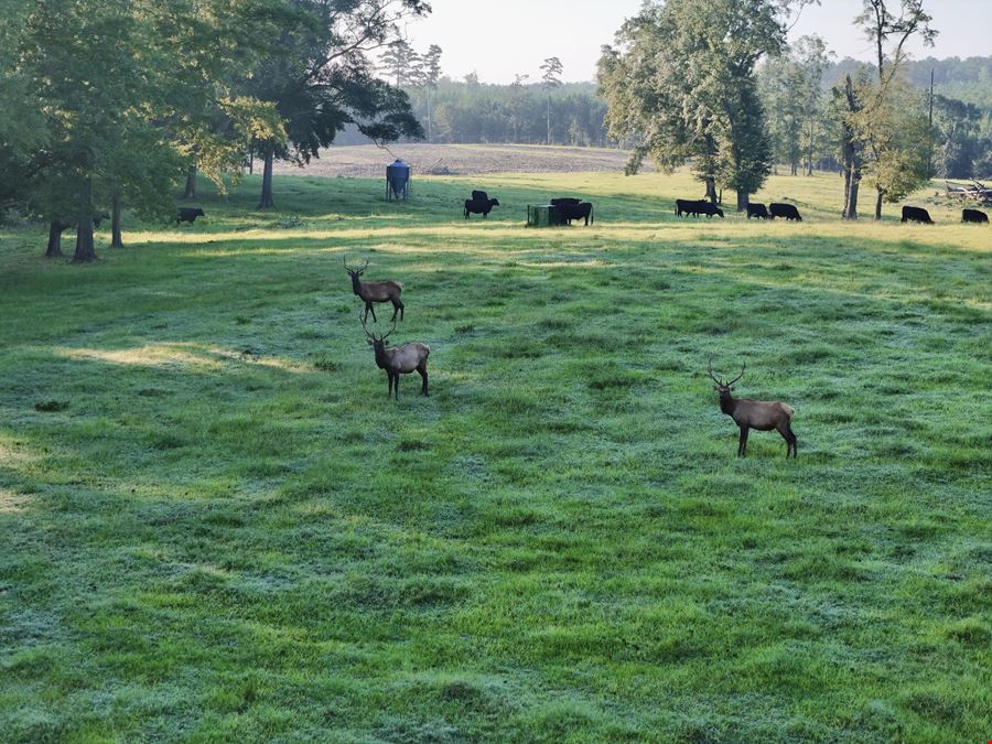 Heritage Ridge