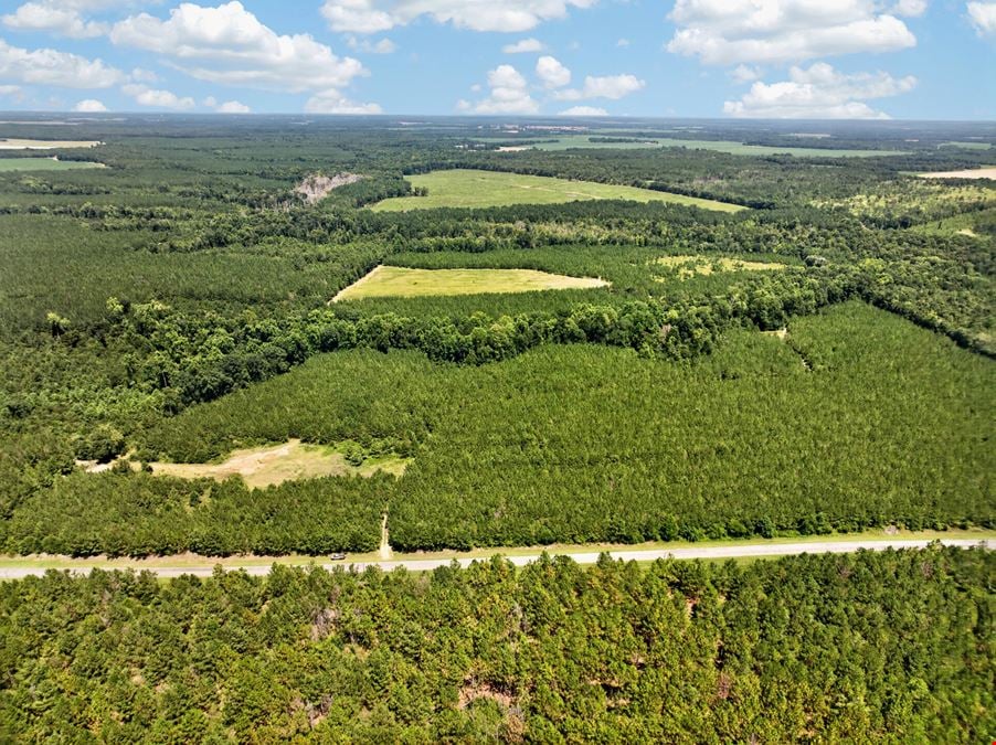 Upper River Woods