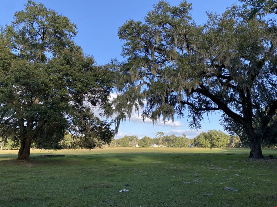 40 Acre Ranch Oxford, FL