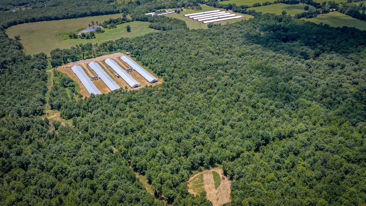 Mena AR Broiler Chicken Farm