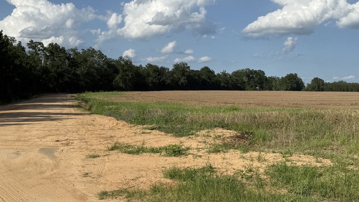 Hwy 71 & Mission Road 4.16 Acre Tracts